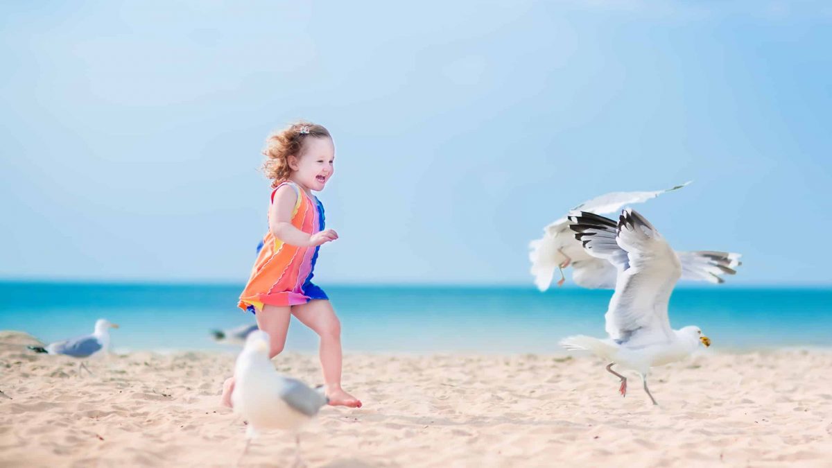 Kind rent achter zeemeeuwen aan op het strand