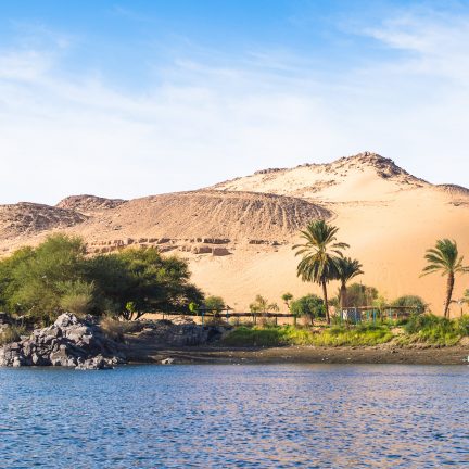 Palmbomen en duinen langs de nijl in egypte