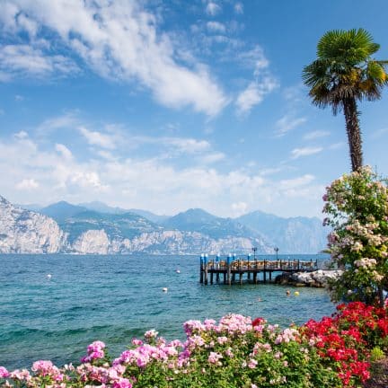 Bloemen langs de kade van het Gardameer, Italië