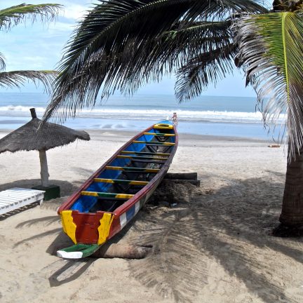 Boot onder een palmboom op het strand in Gambia