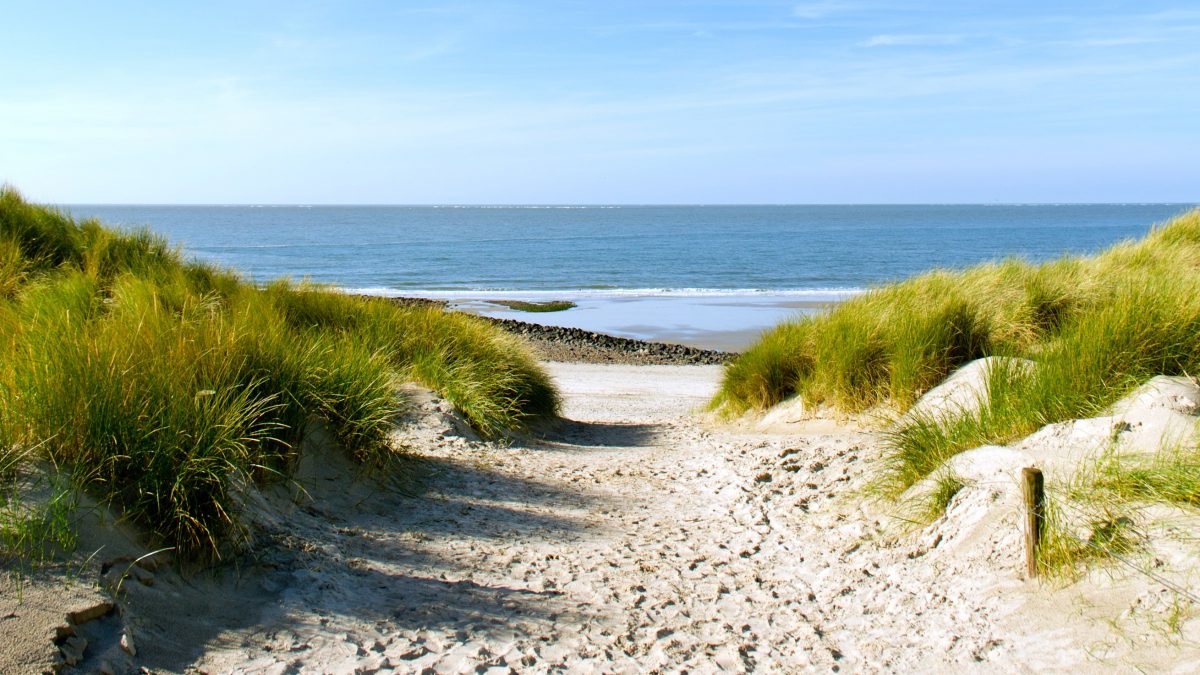 duinen strand nederland
