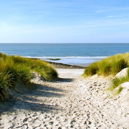 Duinen strand nederland