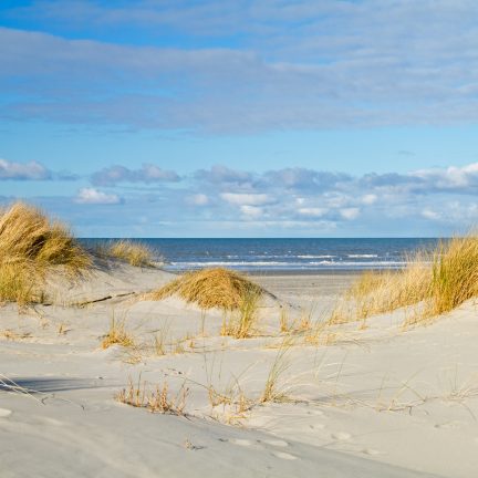 Duinen op schiermonnikoog