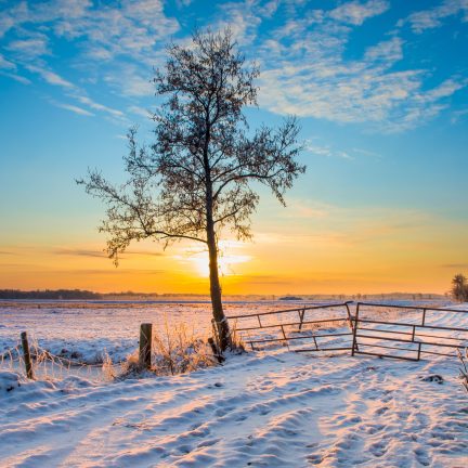 Winters landschap met sneeuw in drenthe