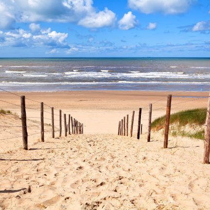 Pad door de duinen naar het strand en de zee