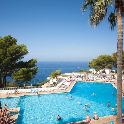 Zwembad palmboom sun club el dorado in el dorado mallorca