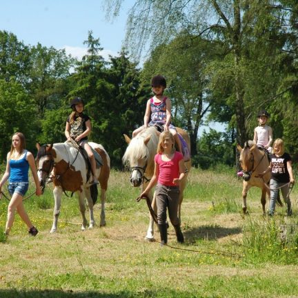 Vakantiepark landgoed de ijsvogel in voorthuizen, gelderland