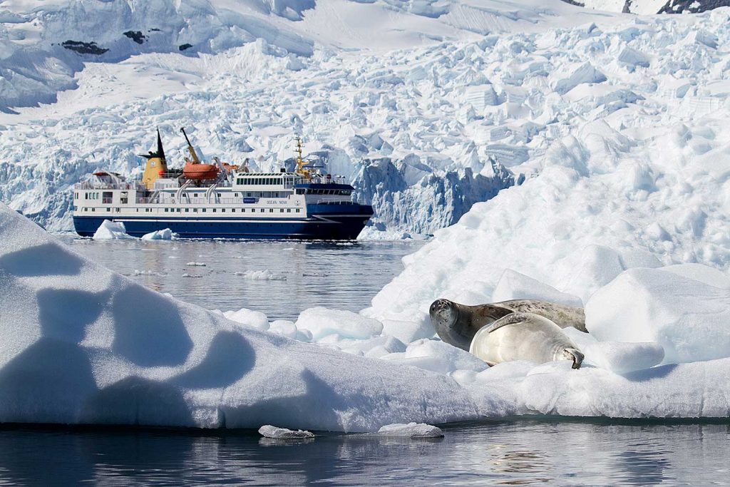 De Ocean Nova vaart tussen ijsbergen en zeehonden
