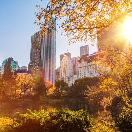 Central park in new york, verenigde staten