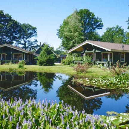 Bungalowpark hoogersmilde in hoogersmilde, drenthe