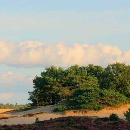 Bed and breakfast grenzeloos doldersum in doldersum, drenthe