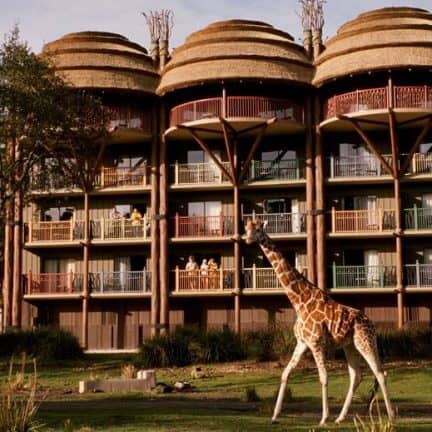 Disney's animal kingdom lodge in orlando, florida