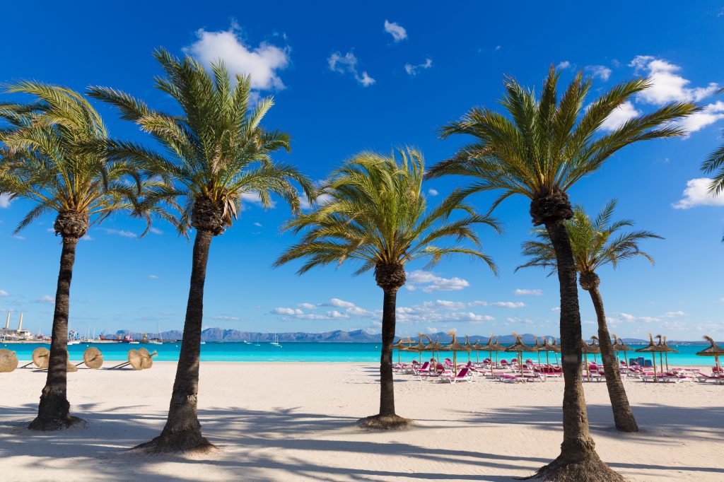 Strand van Alcúdia met palbomen op Mallorca