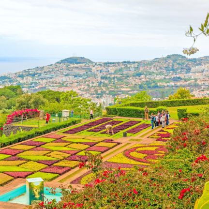 Botanische tuin jardim botânico op madeira, portugal