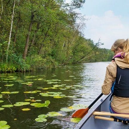 Vrouw in kano in de biesbosch
