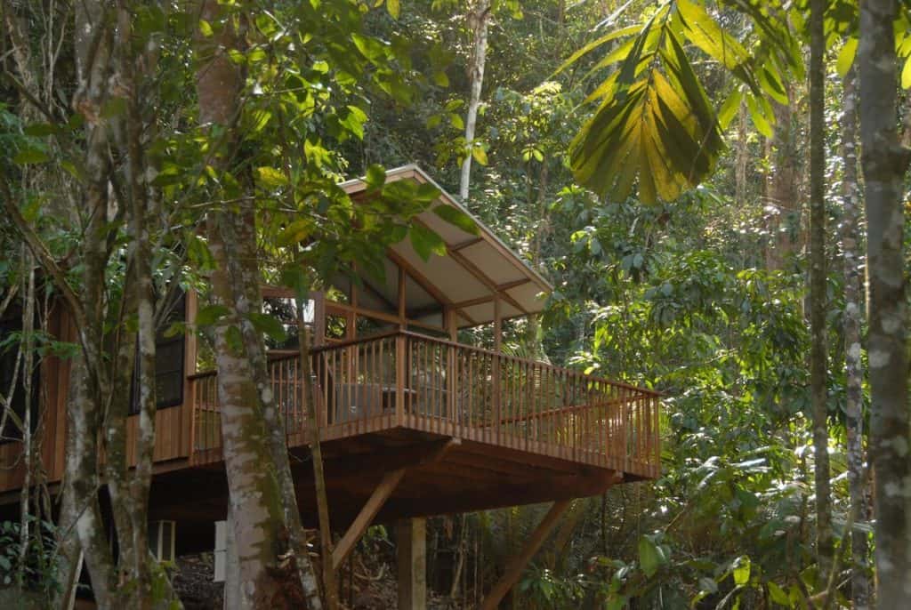 Lodge in de jungle van het Berg en Dal ecoresort in Suriname