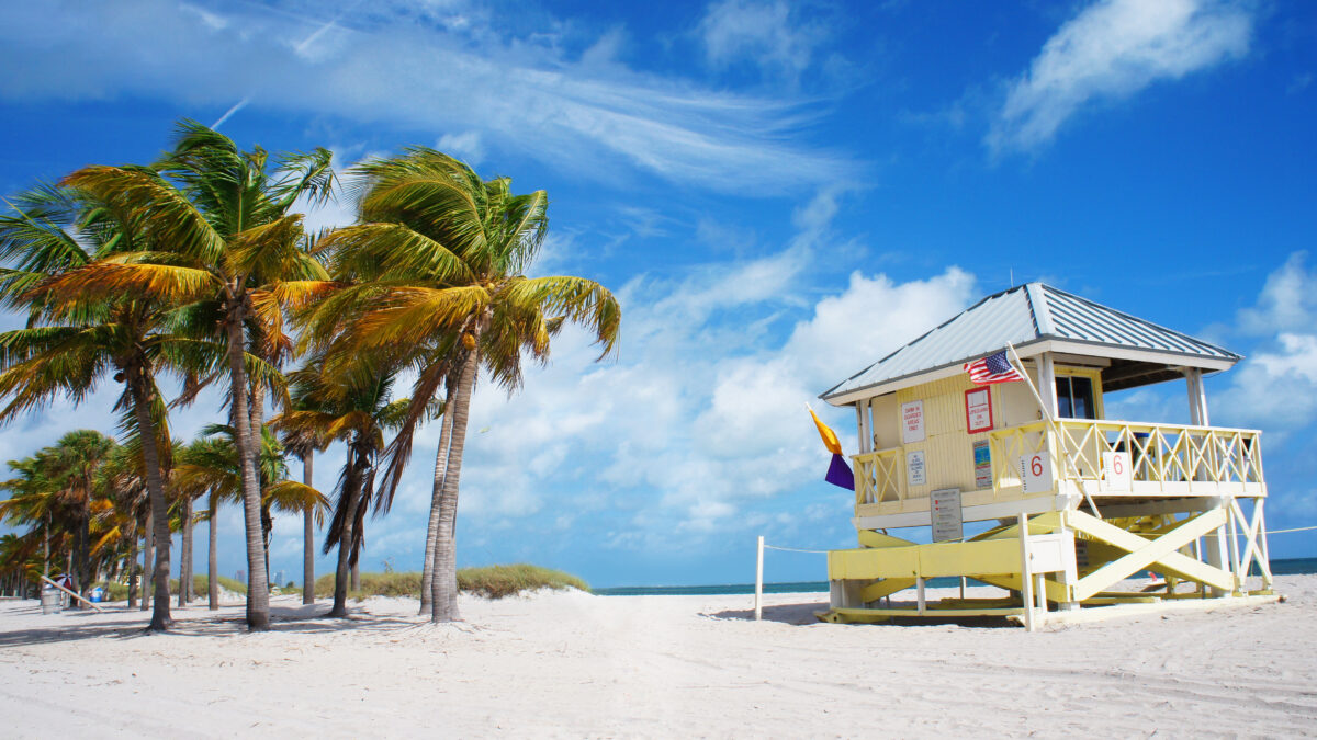 Palmbomen en strandhuis in Miami, Florida