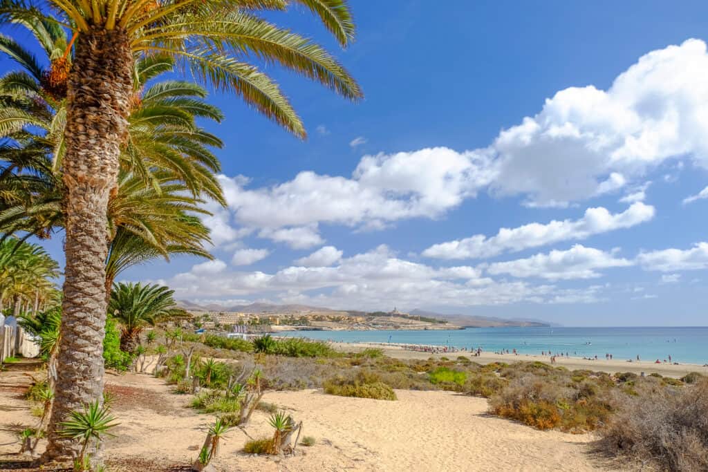 Strand van Costa Calma op Fuerteventura, Spanje