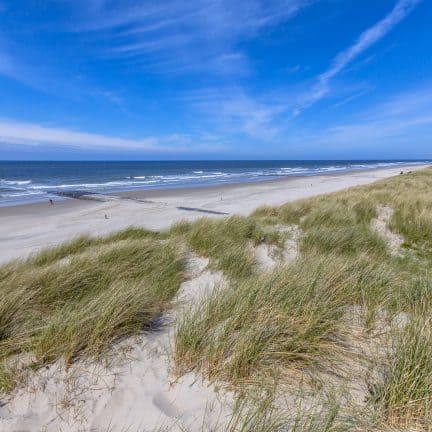 Strand en duinen van Vlieland