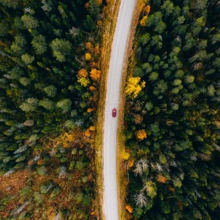 Auto rijd door het bos in Finland