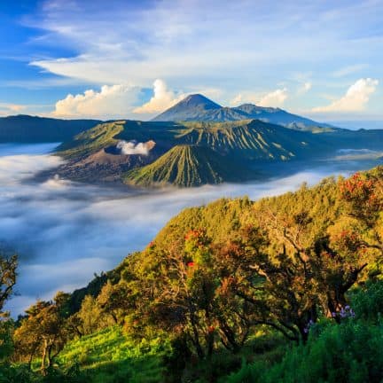 Bromo vulkaan op Java in Indonesië