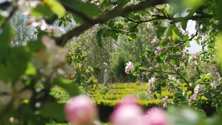 Tuin met bloesems in Friesland
