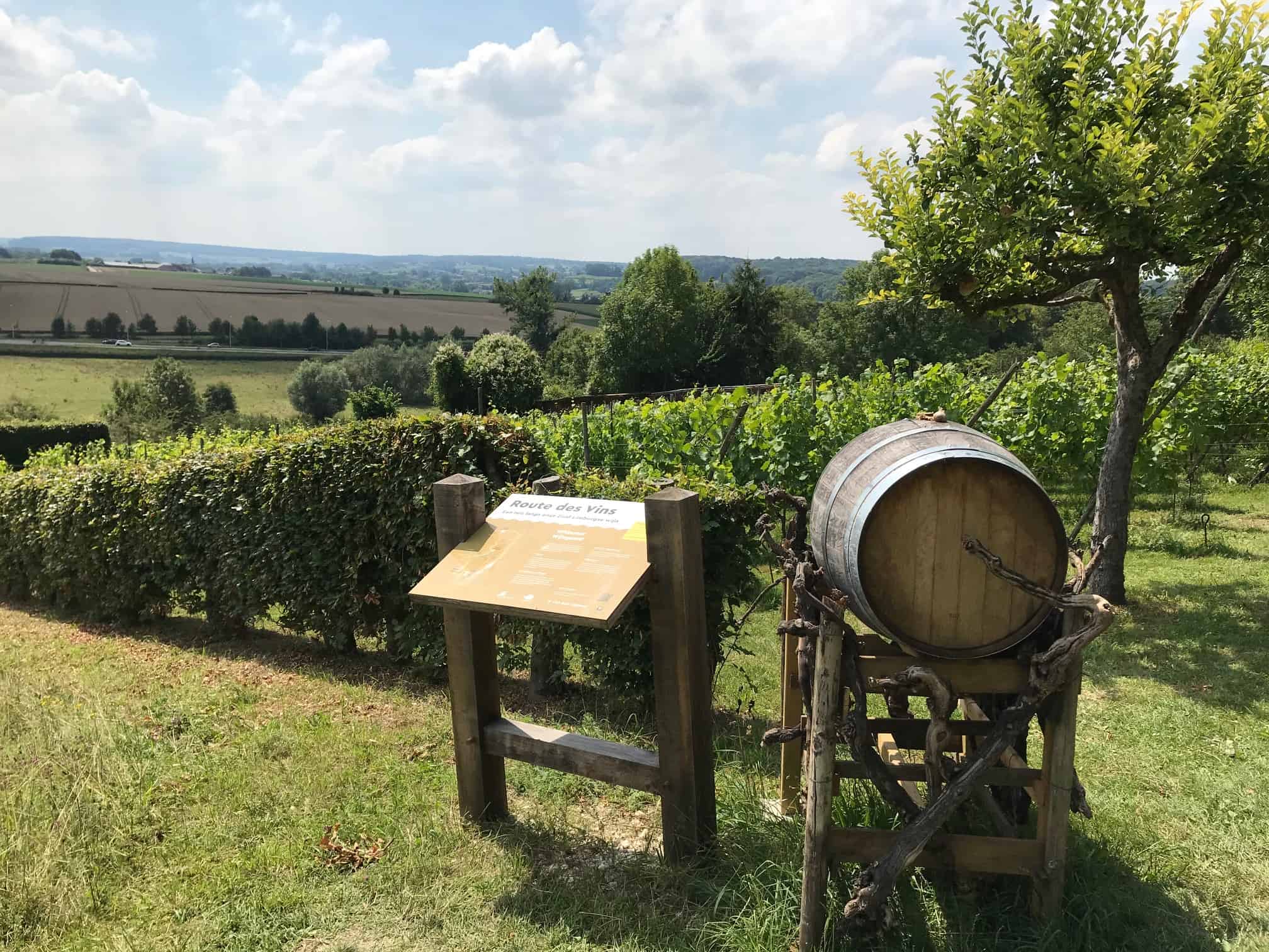 Uitzicht over het Limburgse heuvellandschap met een toegangshek van Route des Vins
