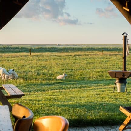 Roompot boerderij ameland