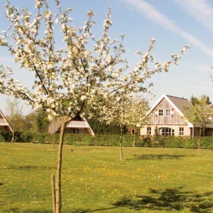 Roompot buitenplaats in den olden bongerd