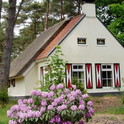 Roompot landgoed t wildryck